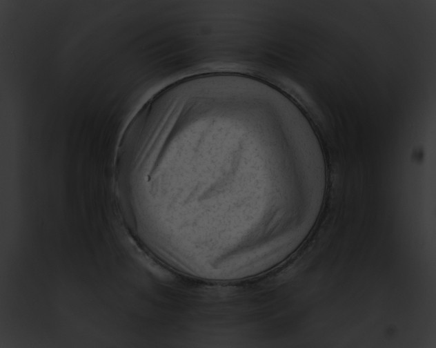 X0000091891236200710031135