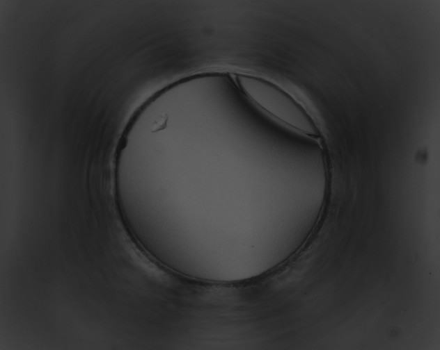 X0000091891238200710031135