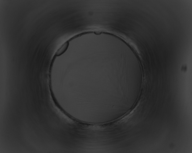 X0000091891239200710031135