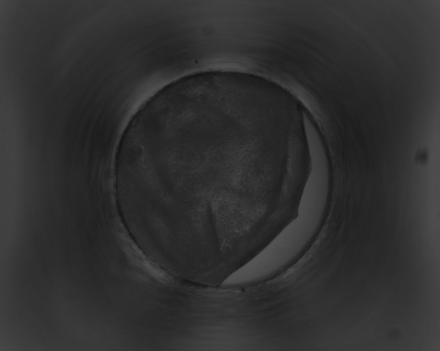 X0000091891240200710031135