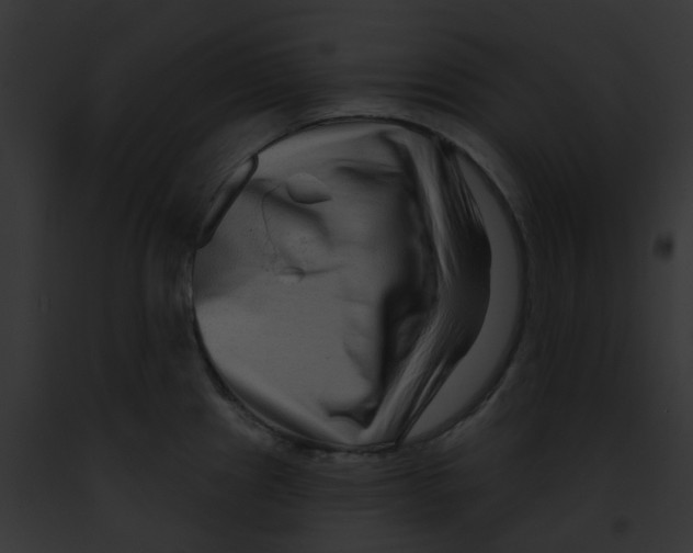 X0000091891241200710031135