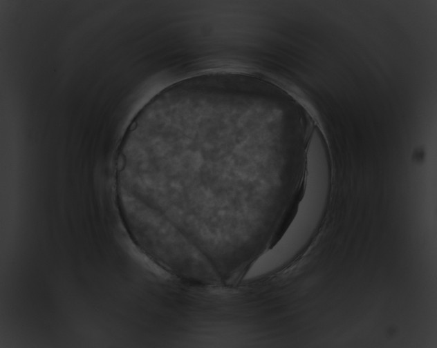 X0000091891243200710031135