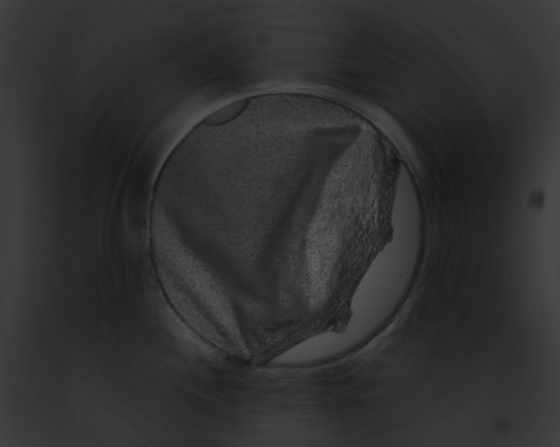 X0000091891244200710031135