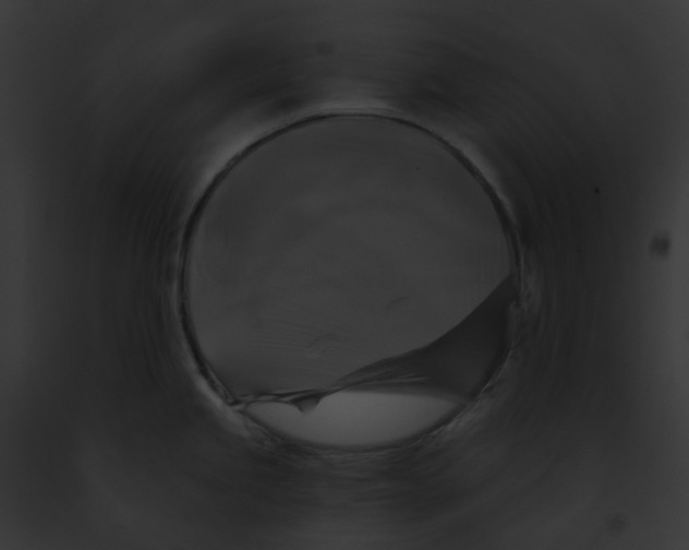 X0000091891245200710031135