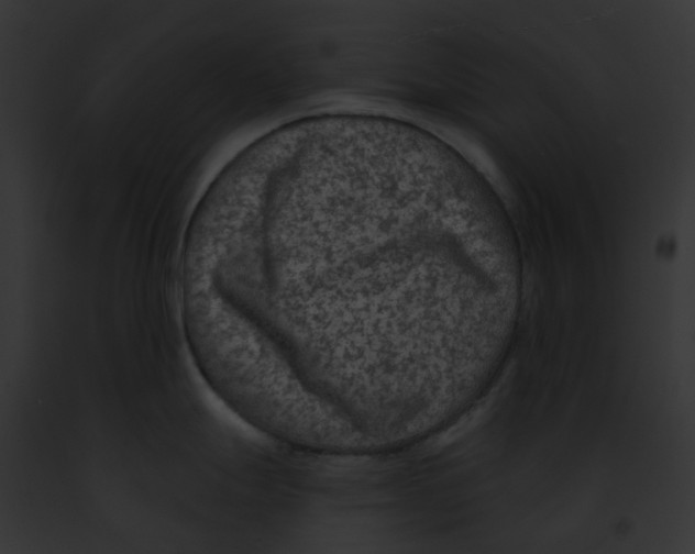 X0000091891247200710031135