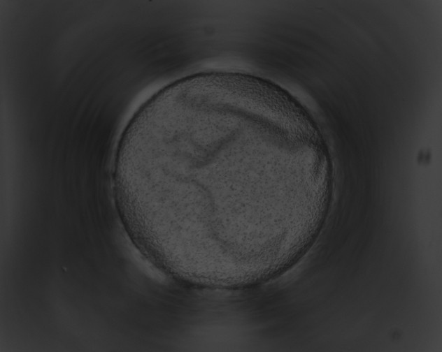 X0000091891248200710031135