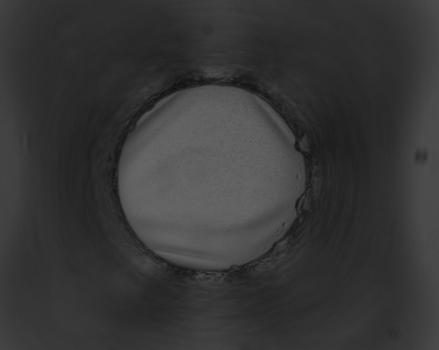 X0000091891249200710031134