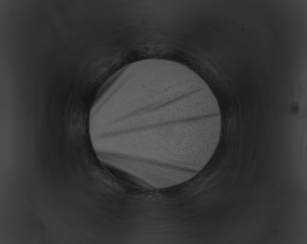 X0000091891250200710031134