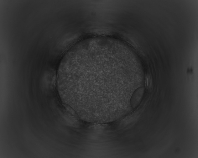 X0000091891251200710031134