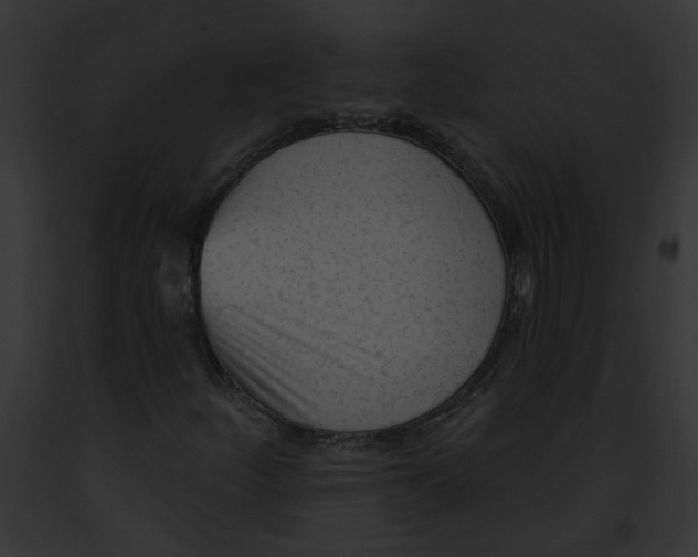 X0000091891252200710031134