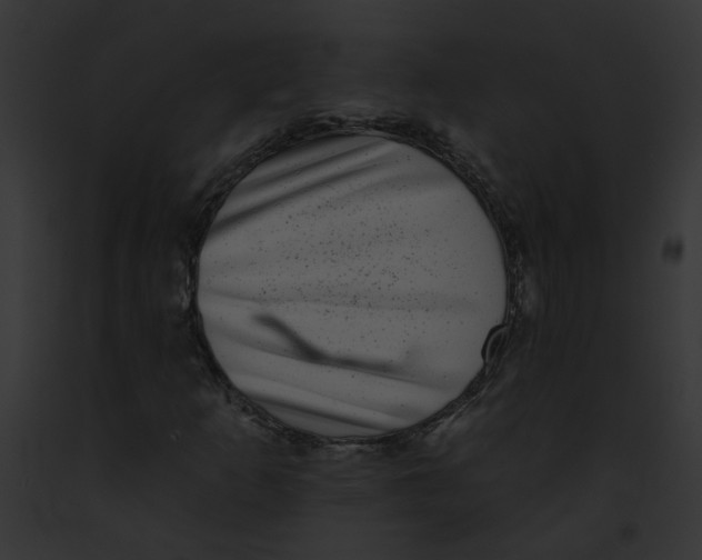 X0000091891253200710031134