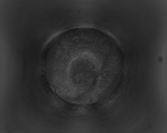 X0000091891255200710031134