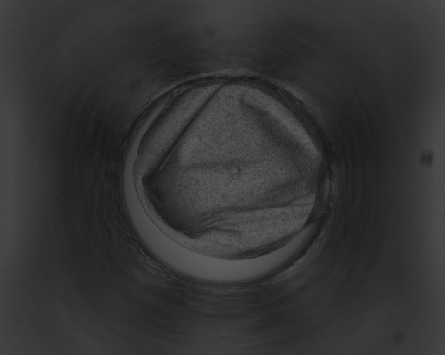 X0000091891257200710031134