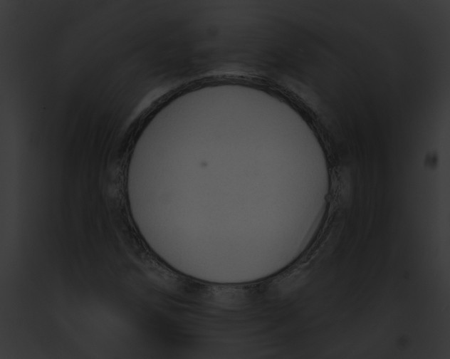 X0000091891258200710031134