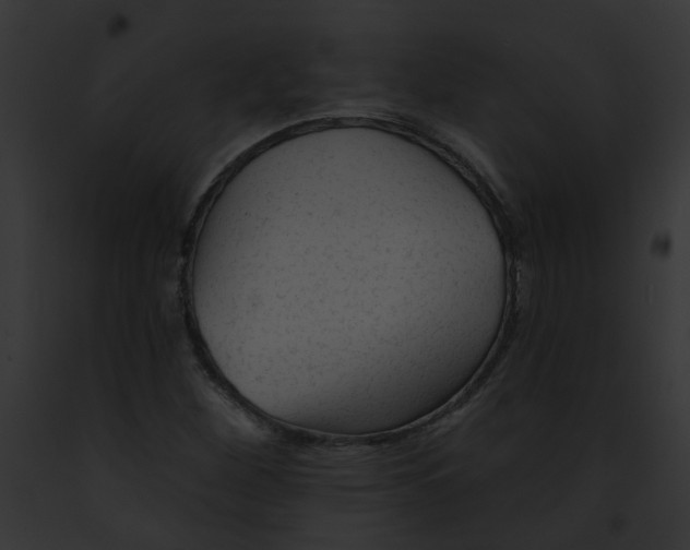 X0000091891260200710031134