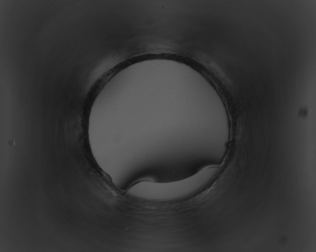 X0000091891261200710031134