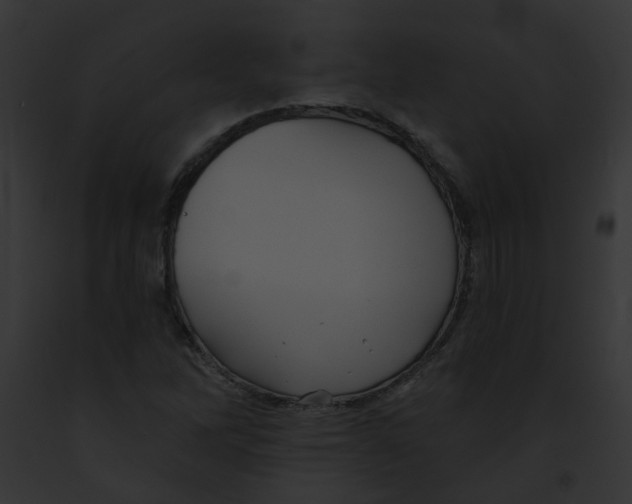X0000091891262200710031134