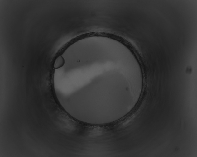 X0000091891263200710031134