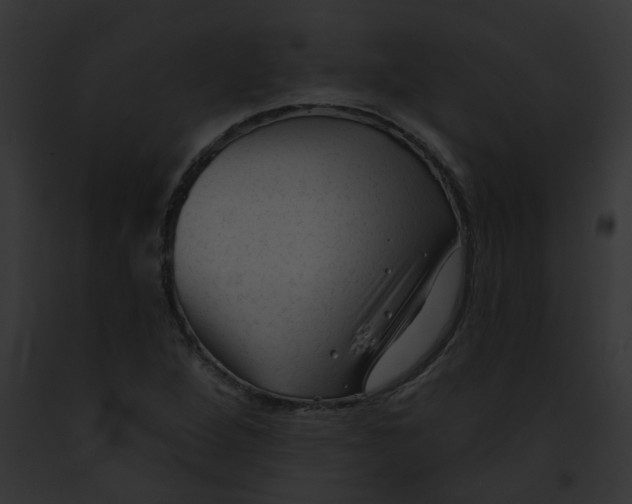 X0000091891264200710031134