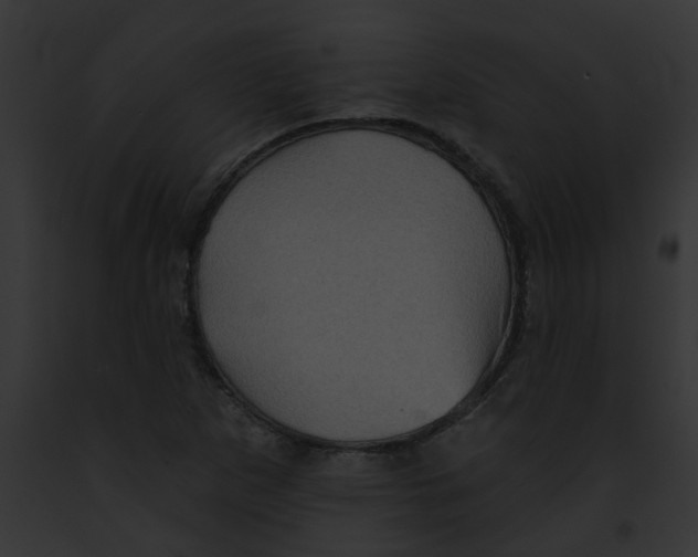 X0000091891265200710031134