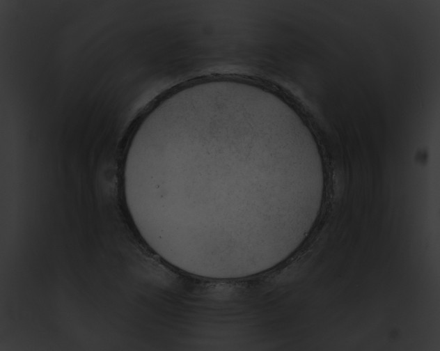 X0000091891266200710031134