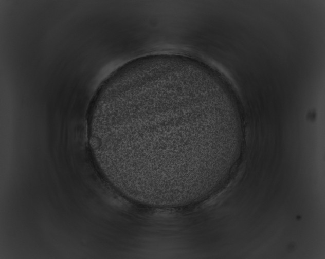 X0000091891267200710031134