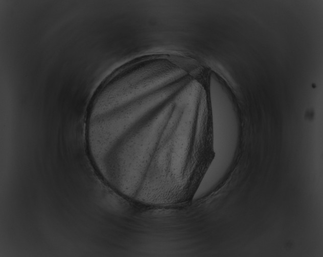 X0000091891268200710031134