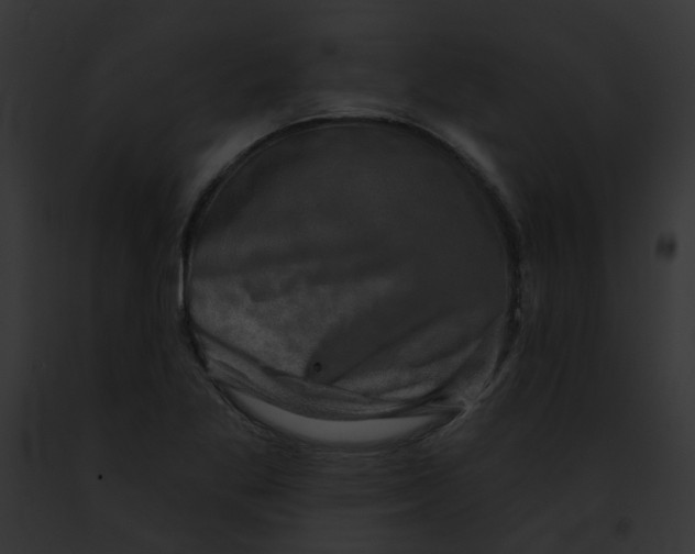 X0000091891269200710031134