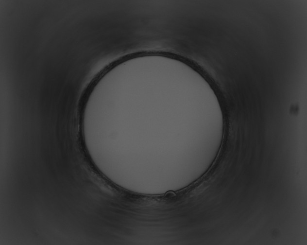 X0000091891270200710031134