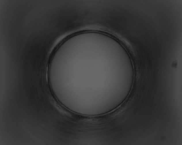 X0000091891272200710031134