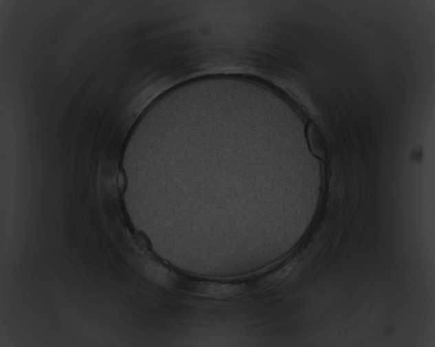 X0000091891273200710031134