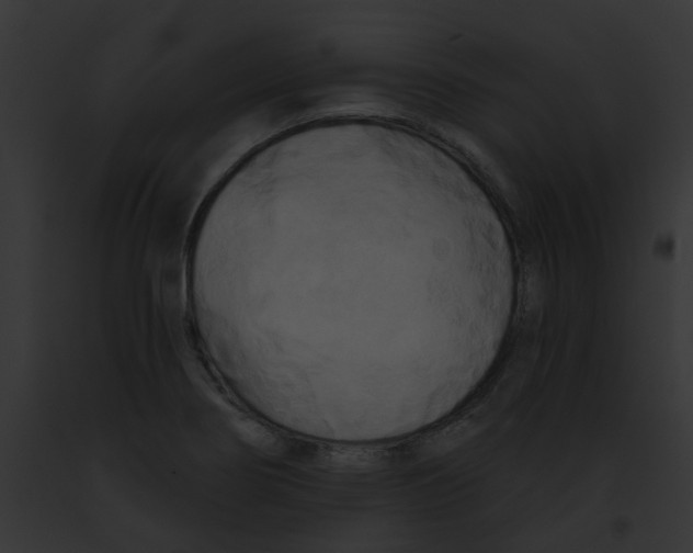 X0000091891274200710031134