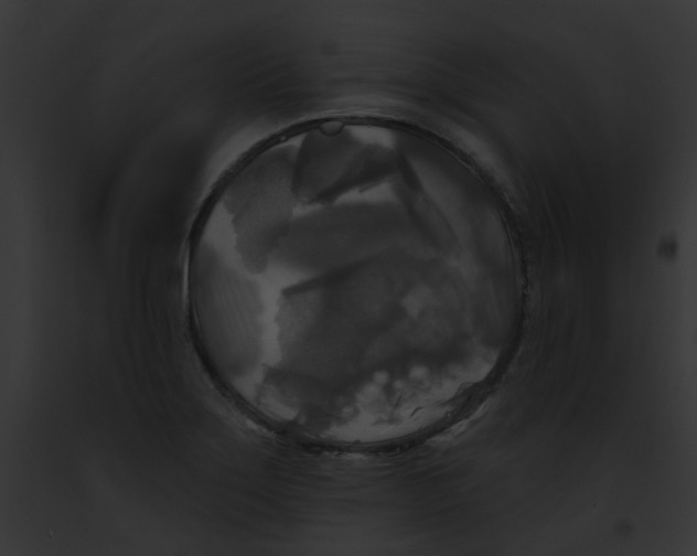 X0000091891275200710031134