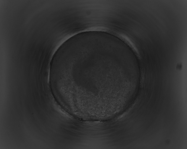 X0000091891276200710031134