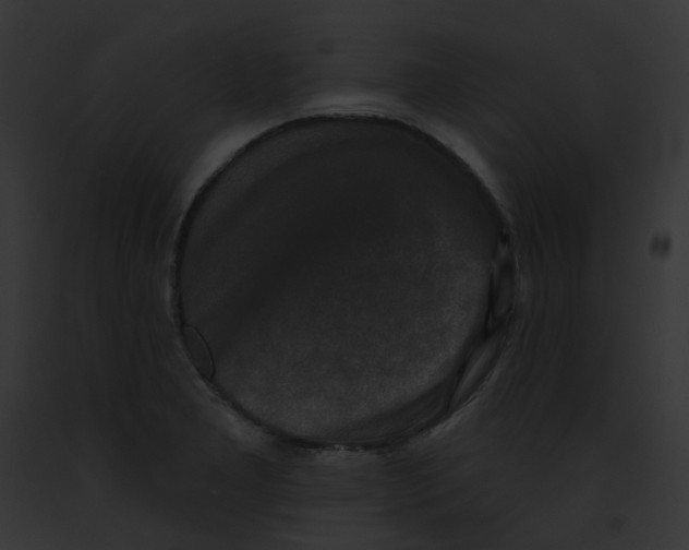 X0000091891277200710031134