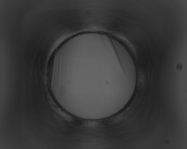 X0000091891278200710031134
