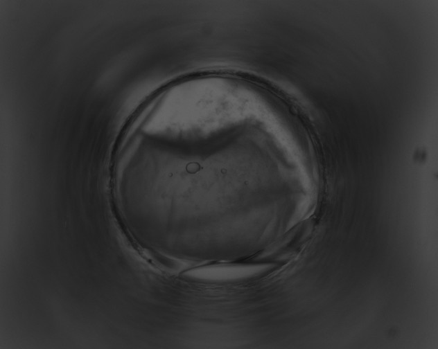 X0000091891279200710031134