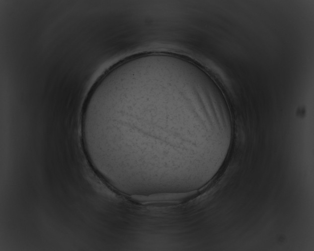 X0000091891280200710031134