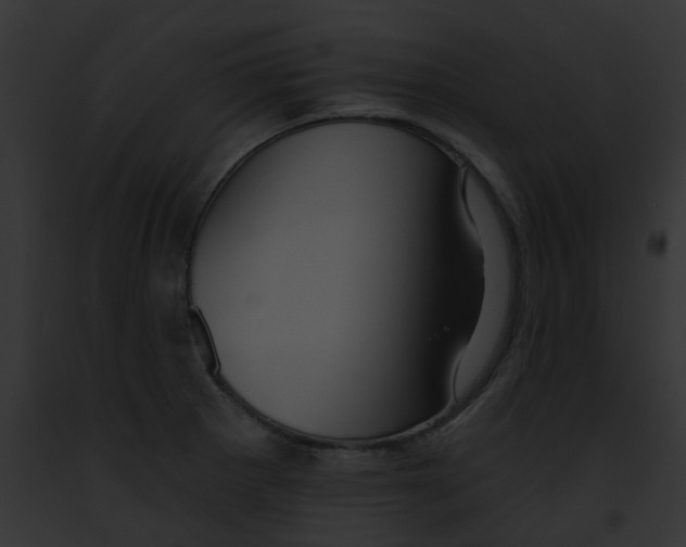 X0000091891281200710031134