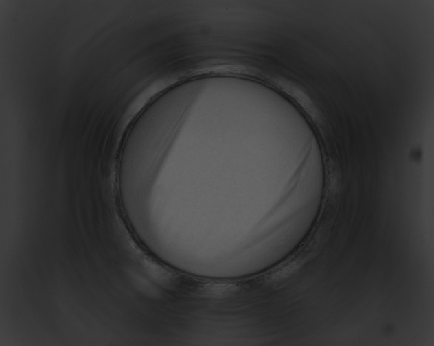 X0000091891282200710031134