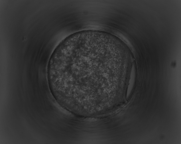 X0000091891283200710031134