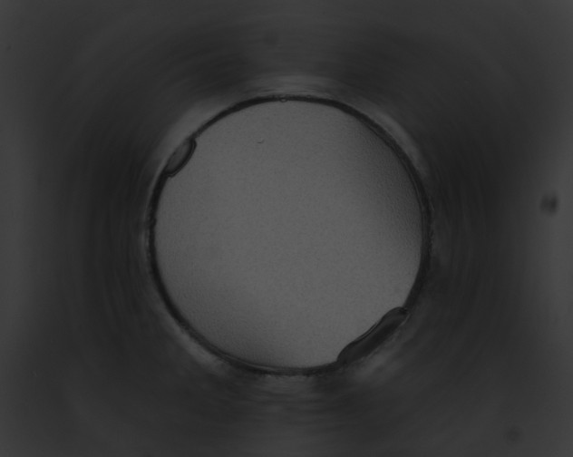 X0000091891285200710031134