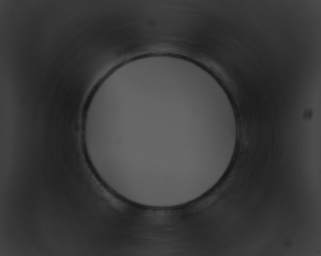 X0000091891286200710031134