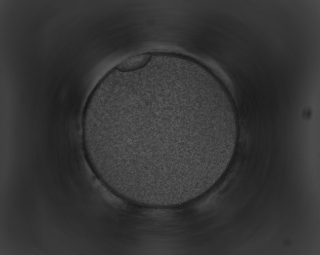 X0000091891287200710031134