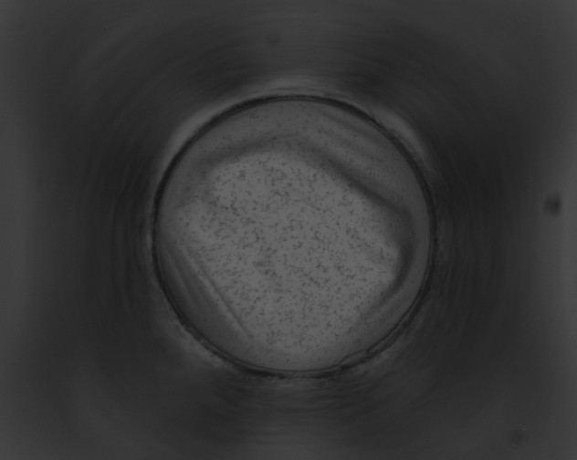 X0000091891288200710031134