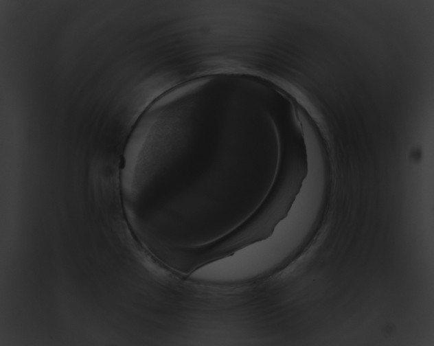 X0000091891289200710031134