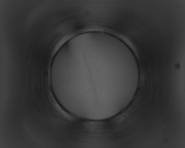 X0000091891290200710031134