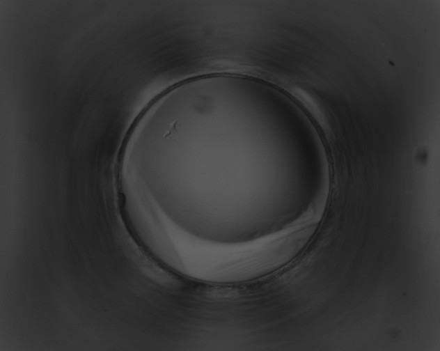 X0000091891291200710031134