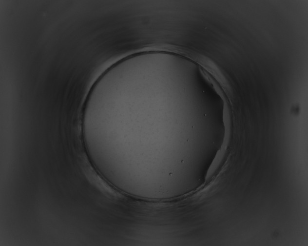 X0000091891292200710031134