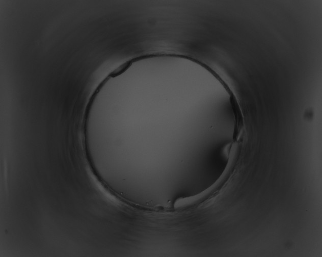 X0000091891293200710031134